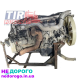 Двигун Man Tga D2066Lf36 440 к.с. Euro 5. Назва: D2066Lf36. Модель: Tga. Рік випуску: - . Об'єм: 10,5 л. Паливо: дизель.