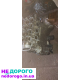 Двигун Mitsubishi Lancer X 1.5, 2010 рік, 1.5 л, бензин.