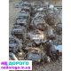 Двигун Opel Z18XE, 1,8 л, бензин, для Vectra B, C, Astra G, Zafira A.