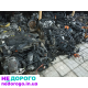 Двигун Volkswagen 1.9 BLS, BRR, 2.0 CBA, BMM, BMP. Дизель, 2005-2010 рр., об'єм 1.9 або 2.0 л.