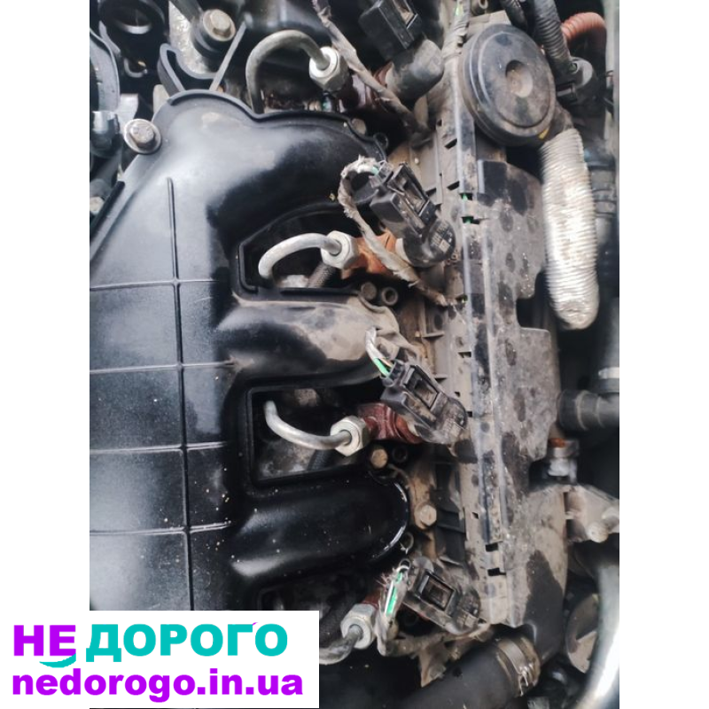 Двигун Ford Duratorq TDCi 2.0, 2008, дизель. Peugeot DW10 2.0 HDi, 2010, дизель. Volvo D5204T 2.0 D, 2012, дизель.
