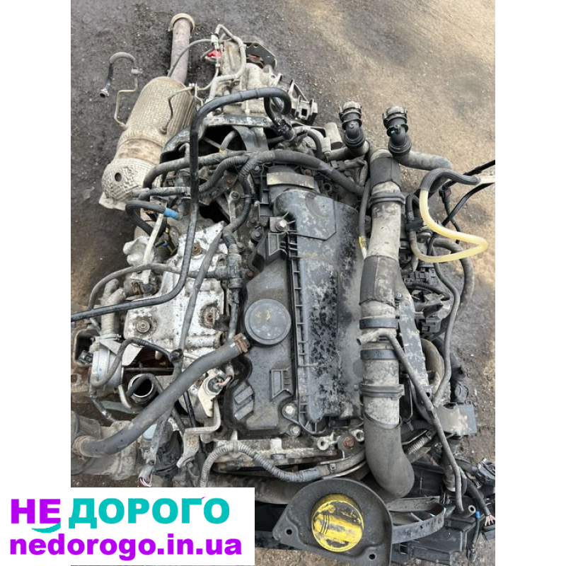 Двигун мотор 2,3 Renault Master Opel Movano 2005 2,3 л дизель задньопривідний.
