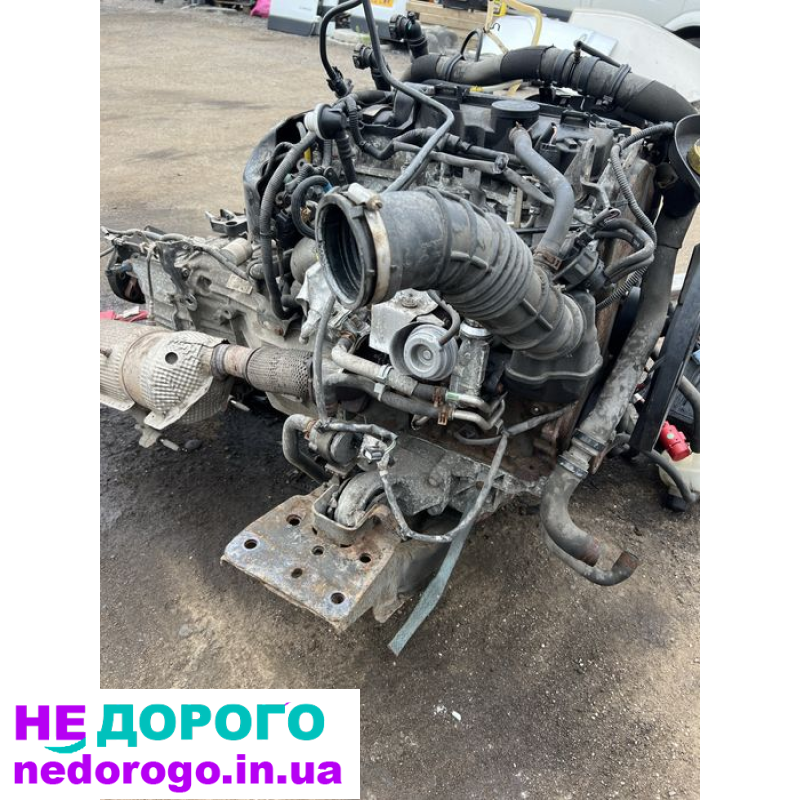 Двигун мотор 2,3 Renault Master Opel Movano 2005 2,3 л дизель задньопривідний.
