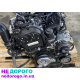 Двигун Audi 2.0 TFSI DMSb, 2021, 2.0 л, бензин.