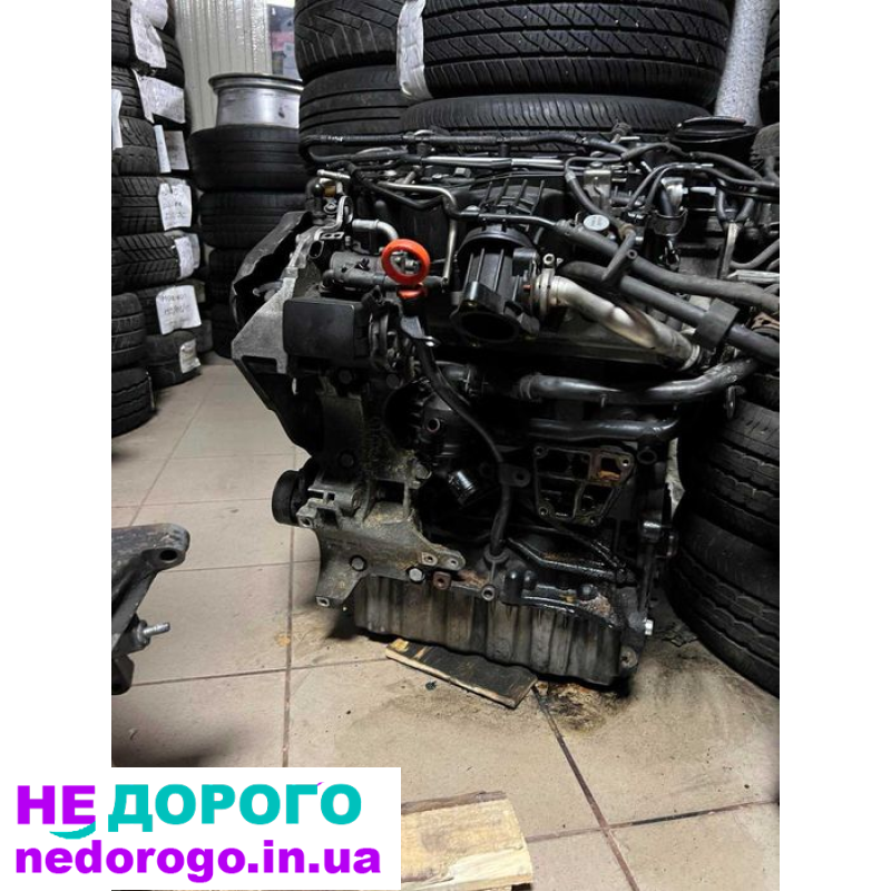Двигун Audi/Skoda SuperB/Seat 1.6 TDI CAY CAYR, 2010, 1.6 л дизель.