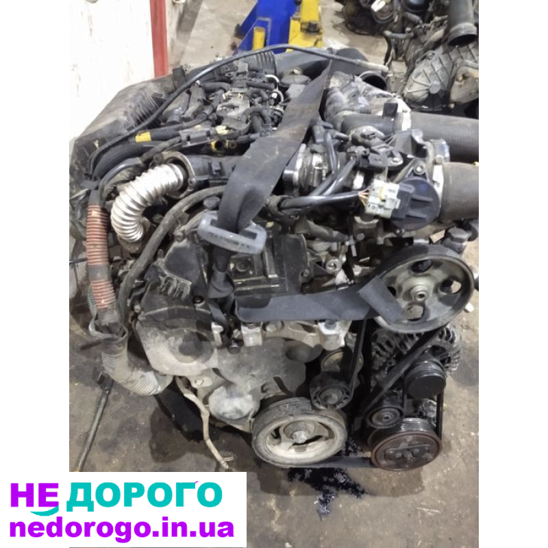 Двигун Citroen Berlingo 1.6 Hdi, 2015, 1.6 л, дизель. Volvo Ford 2.0 TDCi, 2018, 2.0 л, дизель.