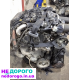 Двигун Citroen Berlingo 1.6 Hdi, 2015, 1.6 л, дизель. Volvo Ford 2.0 TDCi, 2018, 2.0 л, дизель.