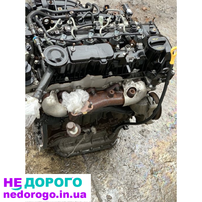 Двигун Hyundai D4HA 2.0 CRDI, 2010, дизель, 2.0 л. для Santa Fe, Tucson, IX35, Sportage.
