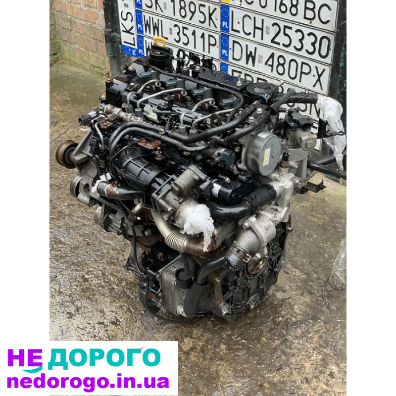 Двигун Hyundai D4HA 2.0 CRDI, 2010, дизель, 2.0 л. для Santa Fe, Tucson, IX35, Sportage.