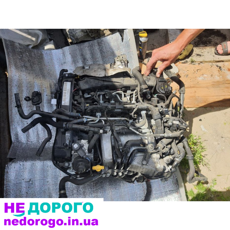 Двигун мотор DFH VAG Volkswagen 2.0 TDI 190 к.с. 2019 рік, дизель, 2.0 л.