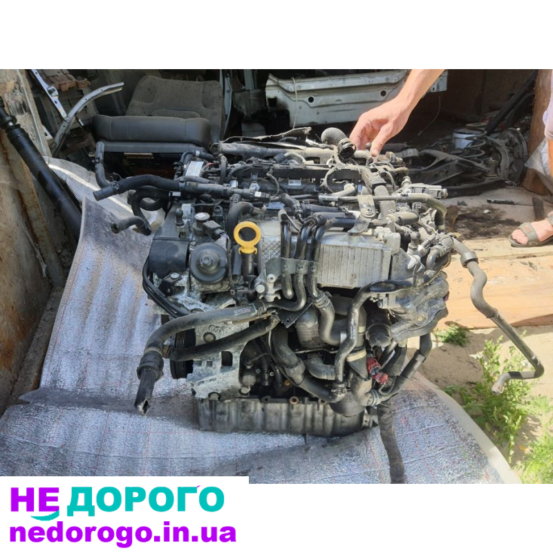 Двигун мотор DFH VAG Volkswagen 2.0 TDI 190 к.с. 2019 рік, дизель, 2.0 л.