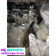 Двигун Volvo XC 60 XC 70 2.4л 2011р.