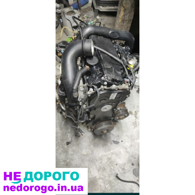 Двигун Рено Мастер, Опель Мовано 2.3 CDTI 2016р, об'єм 2.3 л, дизель.
