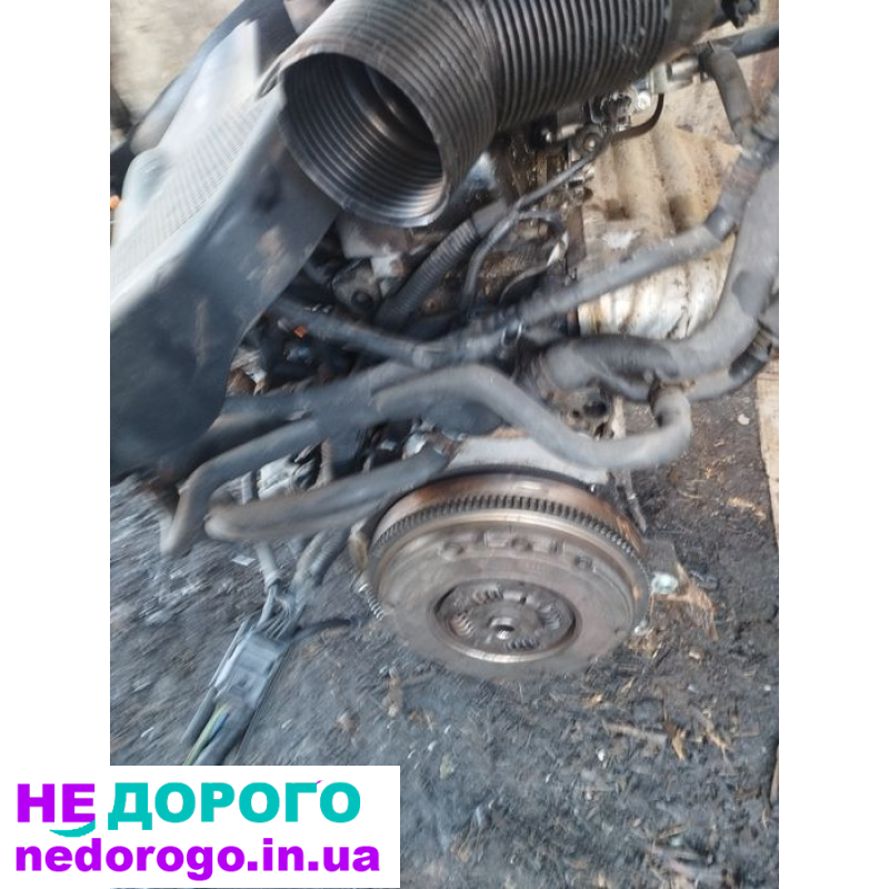 Двигун 1.6 AKL Skoda Octavia Bora Golf Toledo Leon Audi A3, бензин, 2001 рік, 1.6 л.