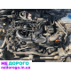 Двигун мотор ASB 3.0 TDI Audi A8D3 A6C6, дизель, 2004, 3.0 л.