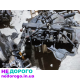 Двигун Ford Transit 2.0 TDI, 2010 рік, дизель, 2.0 л, блок, коленвал, пеньок.