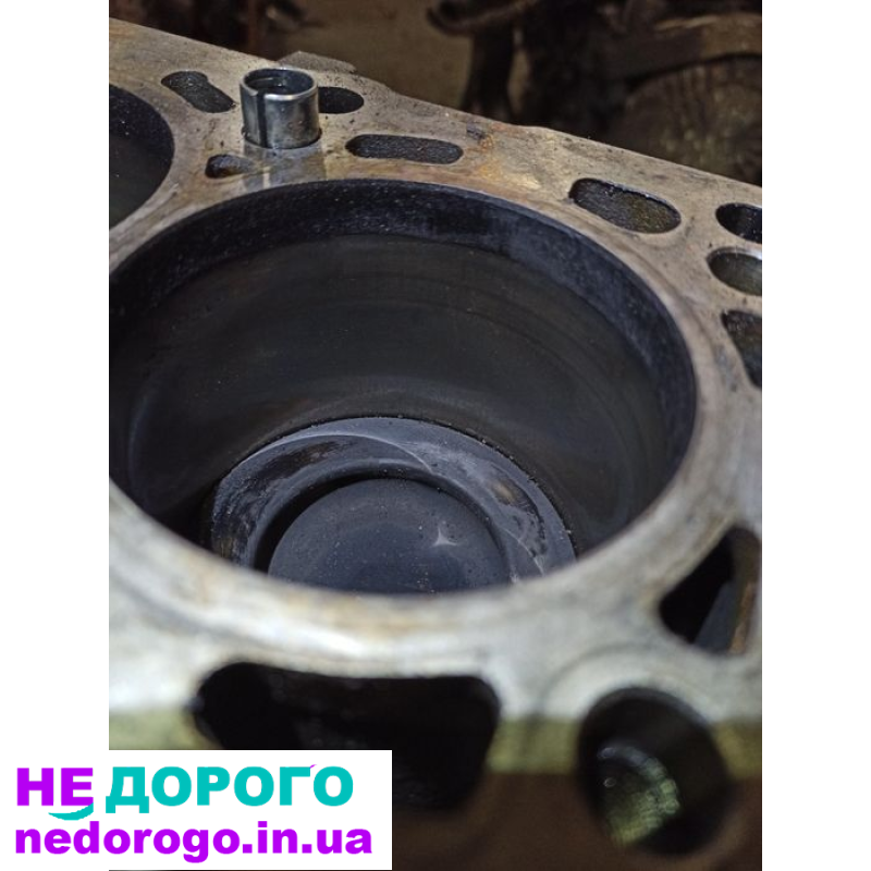 Двигун CEG 2.0 TDI Skoda Octavia RS 2019, дизель, 2.0 л.