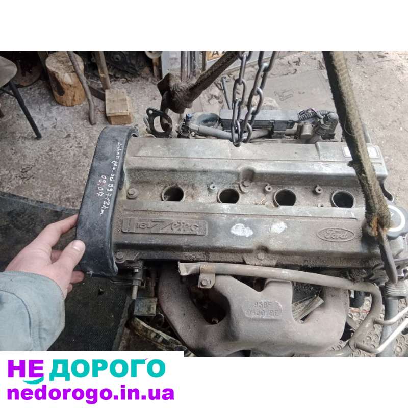 Двигун Ford Zetec 1.6, Escort Mondeo 2, Fiesta, випущений в Україні.