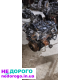 Двигун Ford 2.0 tdci D4204T, Peugeot DW10, Citroen, Volvo.