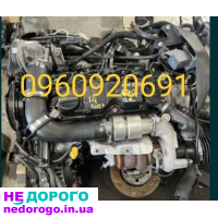 Двигун Peugeot 1.4 HDI, 2008, 1.4 л дизель. Двигун Ford 1.4 TDCI, 2009, 1.4 л дизель.