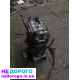 Двигун Audi DBPA, 2008, 2.0 л бензин.
