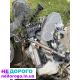 Двигун Toyota 2ZZ-GE 1.8 16V GTS 192, 2000 р.в., бензин, свап і кпп для Celica.