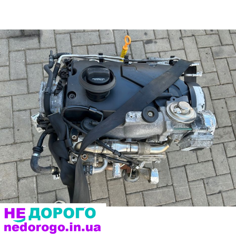 Двигун Volkswagen 1.9 TDI, Golf Passat Touran Caddy Skoda Audi, 2005, дизель 1.9L.