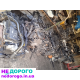 Двигун Peugeot 308, 2015, 1.6 л бензин. Renault Megane, 2016, 1.5 л дизель. Mazda 3, 2017, 2.0 л бензин. Ford Focus, 2018, 1.0 л турбо. VW Golf, 2019, 1.4 л бензин. Opel Astra, 2020, 1.6 л дизель. Mercedes C-Class, 2021, 2.0 л бензин. Toyota Corolla, 2022