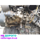 Двигун мотор Fiat Scudo 1.9 Dw8 Citroen Berlingo Peugeot Partner, 2002 рік, дизель, об'єм 1.9 л.