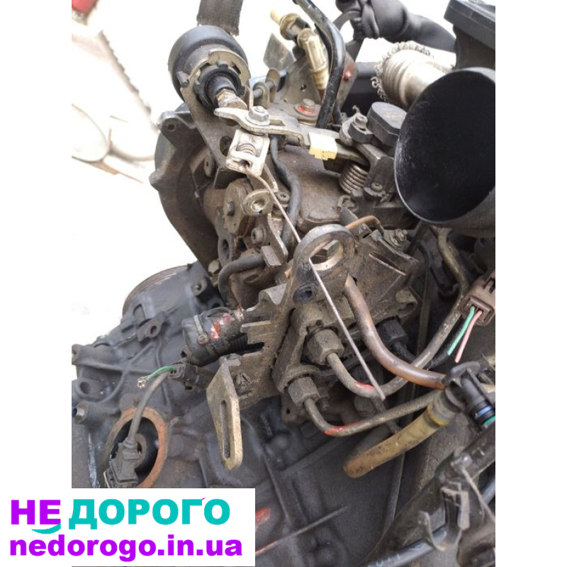 Двигун мотор Fiat Scudo 1.9 Dw8 Citroen Berlingo Peugeot Partner, 2002 рік, дизель, об'єм 1.9 л.