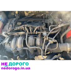 Двигун Ford Fiesta 1.6i 2013-17 D2BG6L084BA, бензин, 1.6 л.