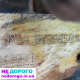 Двигун Ford MONDEO IV 2.0 TDCi QXBA, 2010 рік, 2.0 л, дизель.