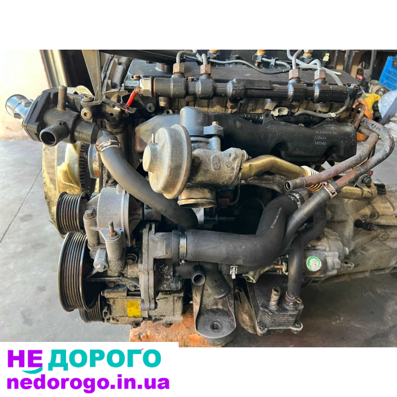 Двигун Ford Transit 2.4 tdci DELPHI, 2006 рік, 2.4 л, дизель.