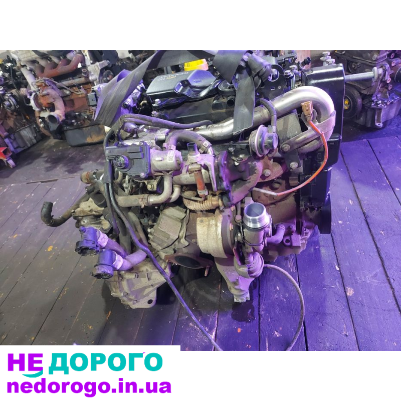 Двигун мотор К9К 816 1.5dci Renault Megane Kangoo 2, 2008, 1.5 л, дизель.