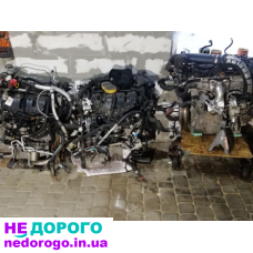 Двигун мотор Lincoln MKC, Ford Mustang, Explorer 2.3 EcoBoost, 5.0 Coyote, 2019, 2.3/5.0 л, бензин.