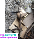 Двигун Mitsubishi Pajero 2.5 Tdi 4D56, Hyundai Galoper, 1998, 2.5 л, дизель.