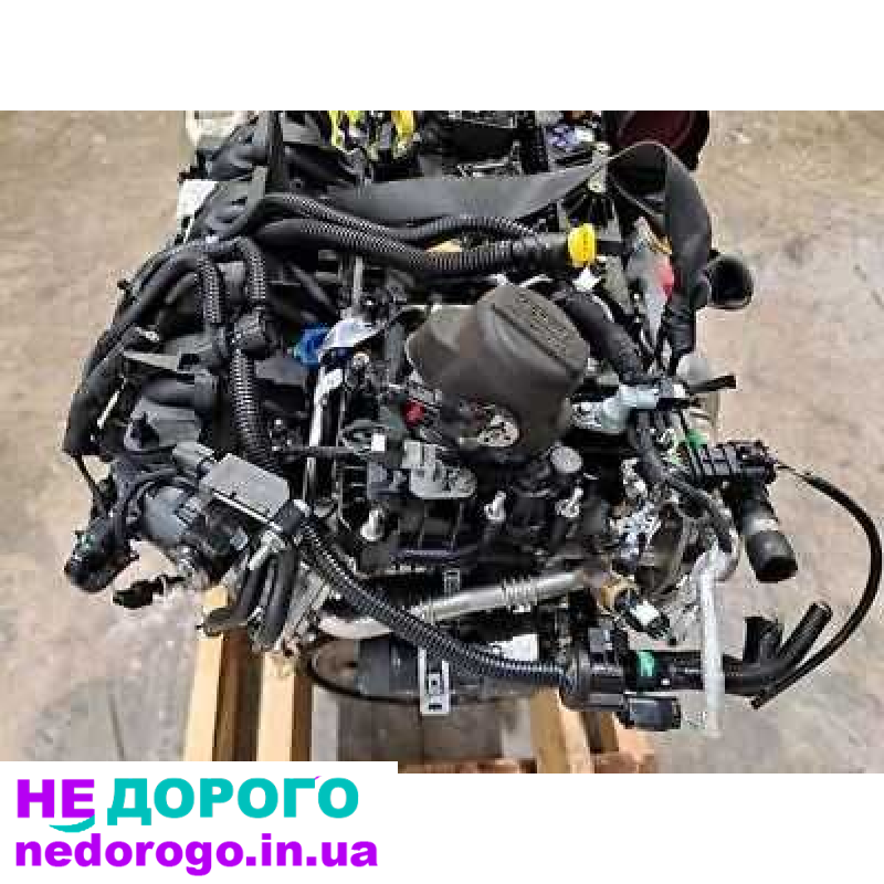 Двигун мотор Nautilus Corsair Ford Edge Escape Bronco, 2021, 2.0 л, бензин.