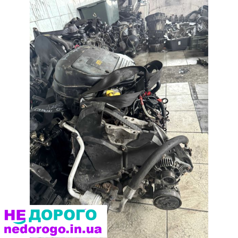 Двигун мотор Renault 1.9D F8Q F8T, рено 1.9д, Kangoo Clio Megane Dacia, 1995-2003, 1.9 л, дизель.