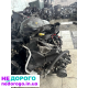 Двигун мотор Renault 1.9D F8Q F8T, рено 1.9д, Kangoo Clio Megane Dacia, 1995-2003, 1.9 л, дизель.
