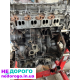 Двигун M9RX866, Renault Koleos/Nissan Quashqai, 2.0, бензин, 2019.