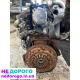 Двигун Renault K9K 1.5 DCI Delphi Euro 4, стартер з переду, відповідає правилам мерчант гугл.