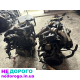 Двигун Renault K9K 1.5 DCI Euro 4, Siemens, 732/282, дизель.