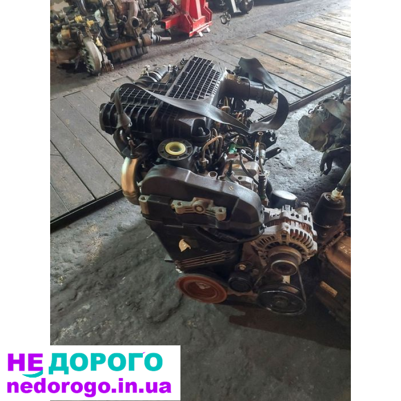 Двигун мотор Renault Kangoo 1.5 Euro 3 Delphi, українською, 2005, 1.5 л, дизель.