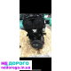 Двигун Volvo XC90, D5244T4, 2007, 2.4 л, дизель.