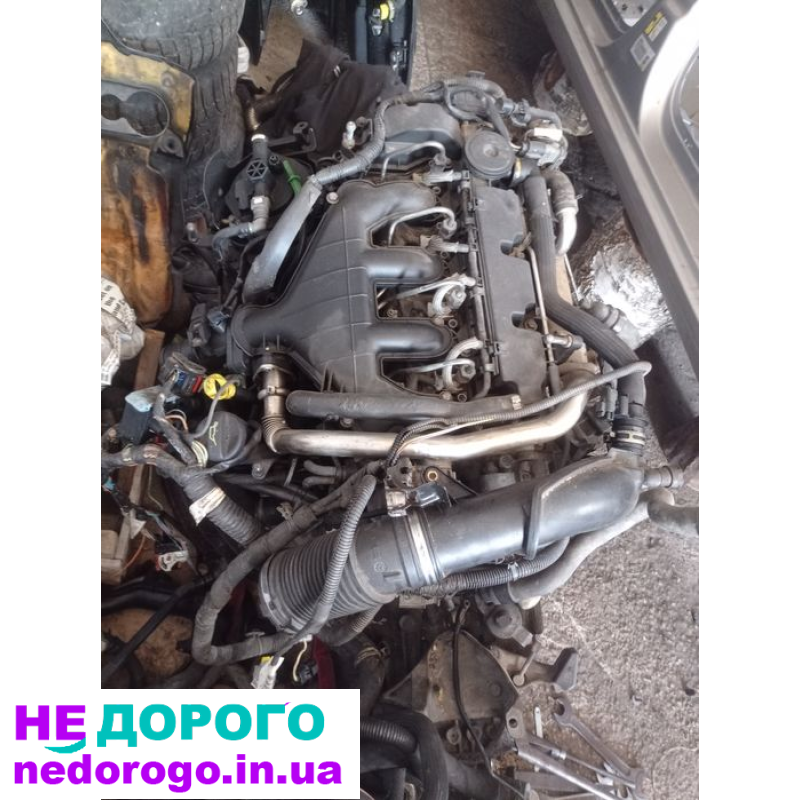 Двигун мотор Citroen Peugeot 1,6HDI 2,0HDI Euro4, 2008, 1,6/2,0 л, дизель.