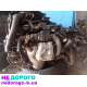 Двигун мотор Citroen Peugeot 1,6HDI 2,0HDI Euro4, 2008, 1,6/2,0 л, дизель.
