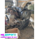 Двигун Ford Mondeo 2.0, Zetec, 2005, 2.0 л, бензин.