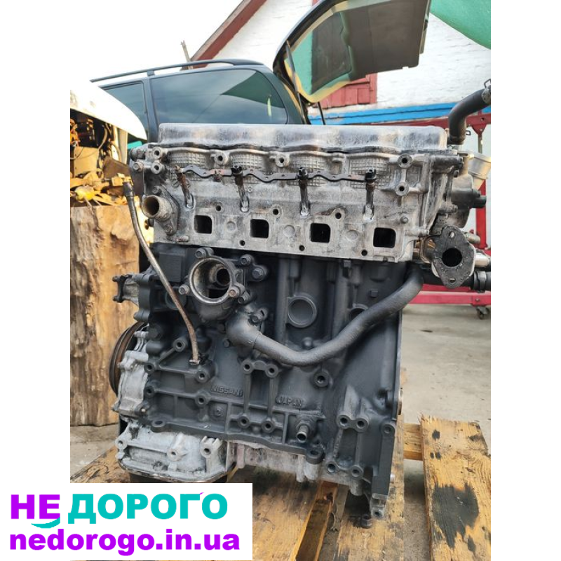 Двигун Nissan X-Trail 2.2 дизель, 2003 рік, об'єм 2.2 л, паливо - дизель.