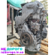 Двигун Nissan X-Trail 2.2 дизель, 2003 рік, об'єм 2.2 л, паливо - дизель.