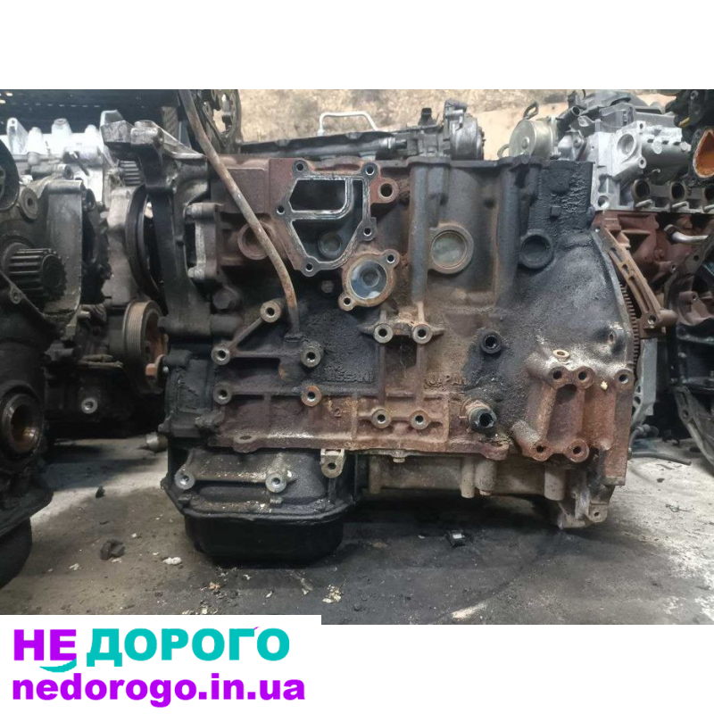 Двигун мотор блок пеньок NISSAN X-TRAIL 2.2 YD22, 2001, 2.2 л, дизель.